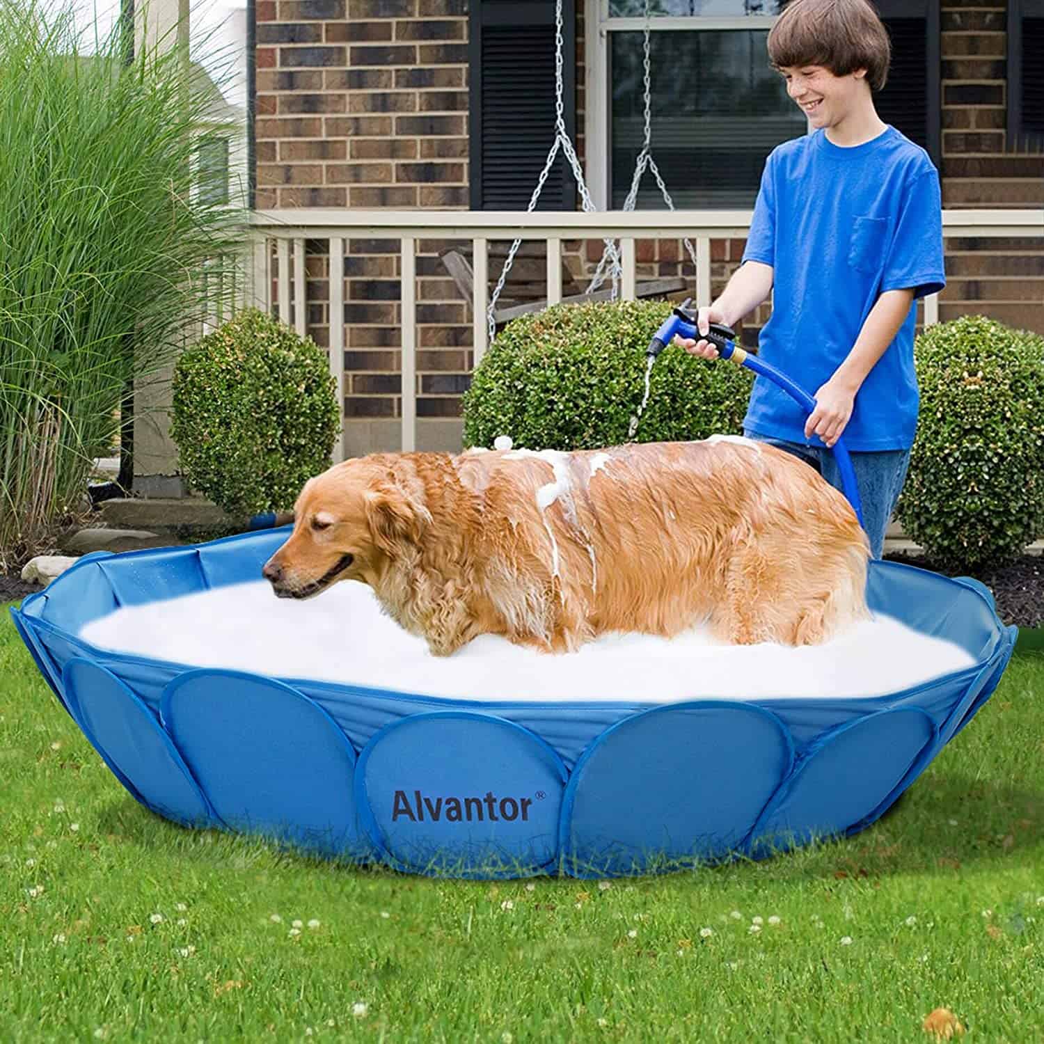 11 Best Dog Pool Options for Your Pup [2021 Reviews] All Pet's Life