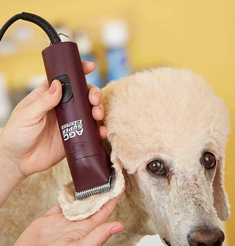 Andis Ultraedge Super 2 Speed Detachable Blade Clipper Professional Dog Grooming Agc2 795x833 