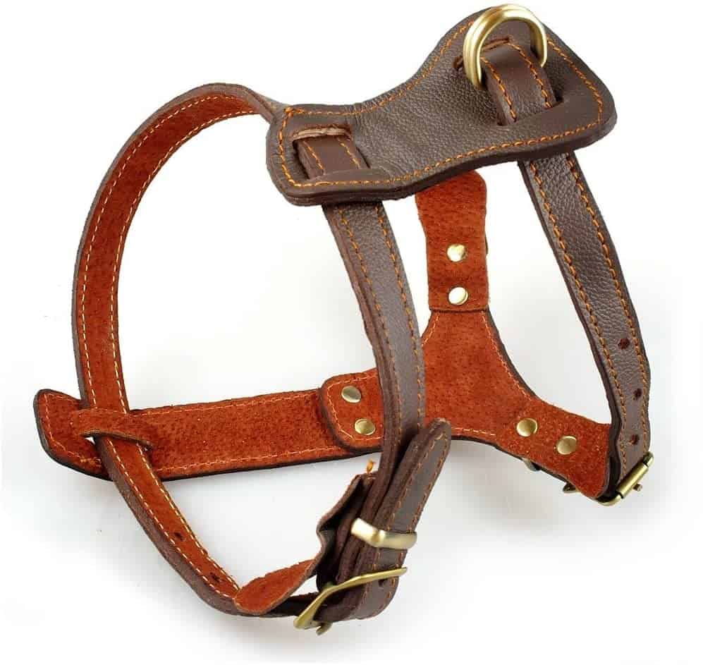Best Leather Dog Harness for Your Dog's Neck [8 Reviews] All Pet's Life