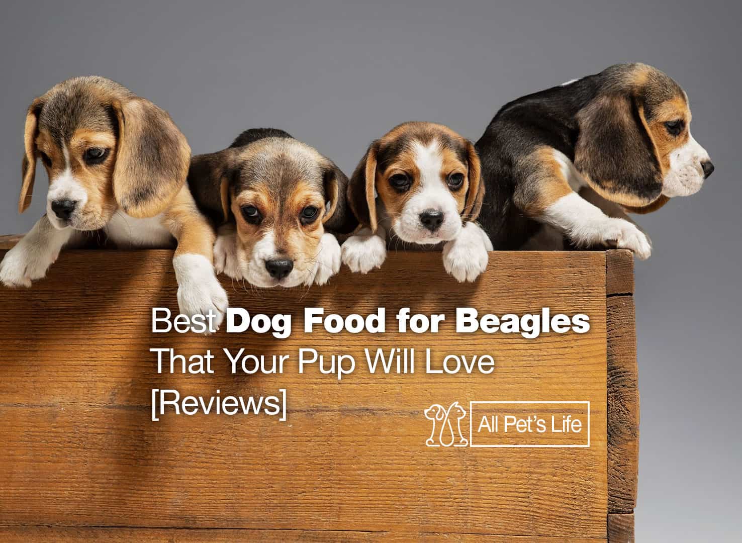 10 Best Dog Food for Beagles [2023] Your Pup Will Love All Pet's Life