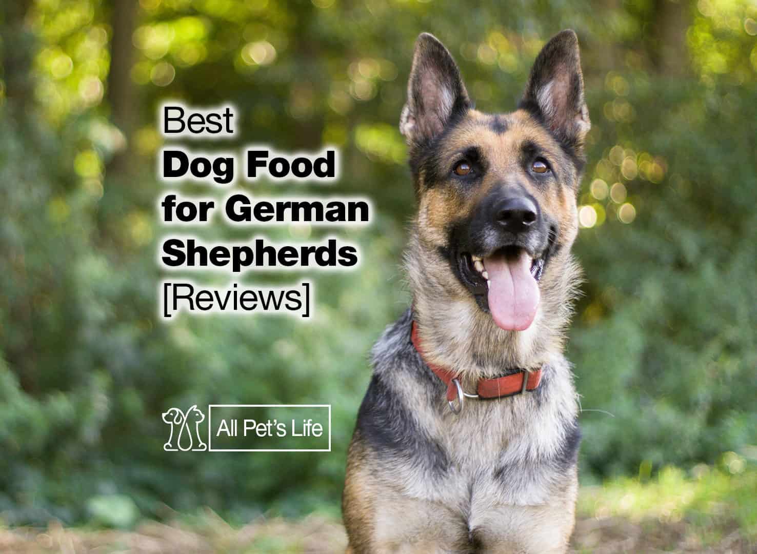 9 best dog food for german shepherd [2023] choices - All Pet's Life