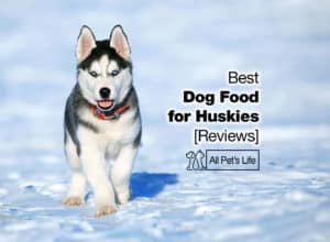 Read more about the article 10 best dog food for huskies [2023]