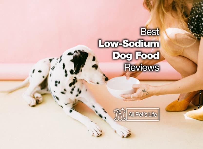 Low Sodium Wet Dog Food A Guide to Canine Dietary Needs Low Sodium Wet Dog Food A Guide to Canine Dietary Needs