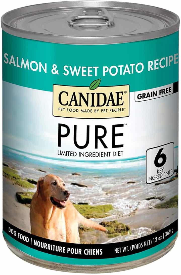 12 Best Salmon Dog Food Brands [2021 REVIEWS] All Pet's Life