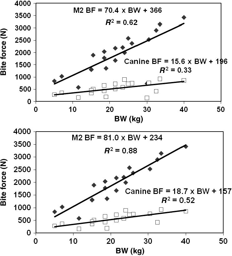 top-10-dog-bite-force-chart