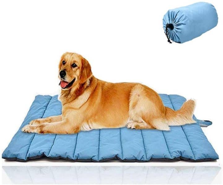 12 Waterproof Dog Bed Options for Your Dog [2021 Reviews] All Pet's Life