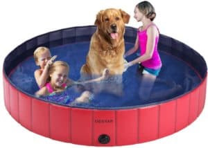 destar pvc foldable pet swimming pool outdoor bathtub with protective lining for dogs and kiddies