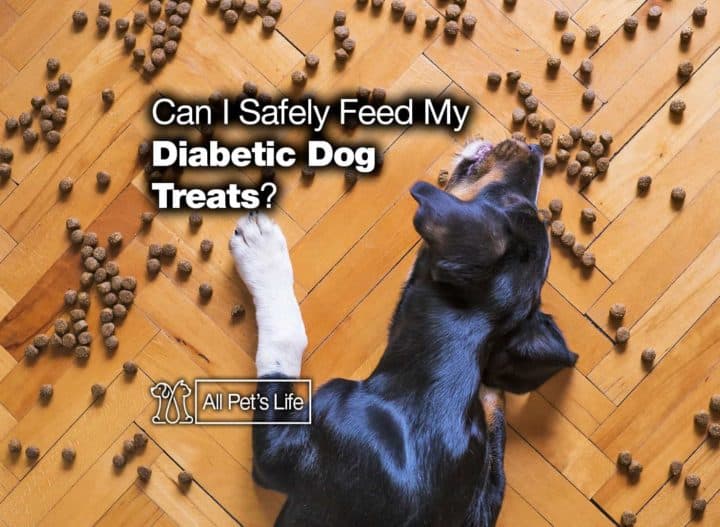Can I Safely Feed My Diabetic Dog Treats? [2021 REVIEWS] - All Pet&rsquo;s Life