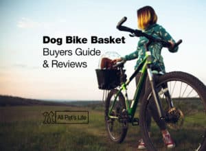 Read more about the article 11 Best Dog Bike Basket Reviews 2021 [Dog on a Bicycle]