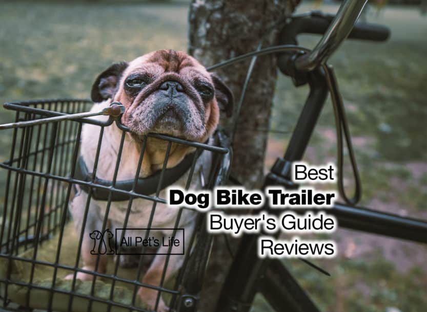 dog bike trailer