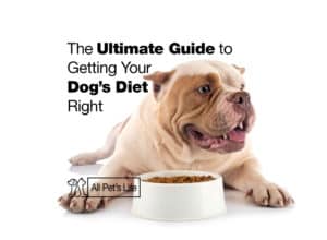 Read more about the article Getting your dog’s diet right [2023] Ultimate guide