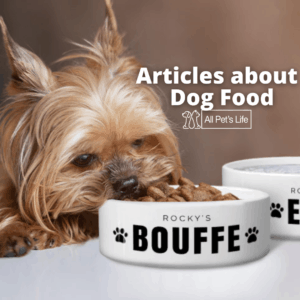 dog eating