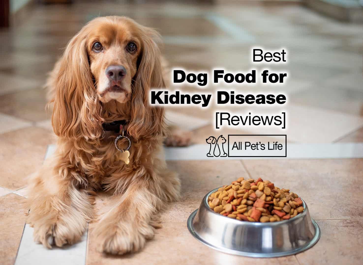 17 Best Dog Food For Kidney Disease 2022 All Pet s Life