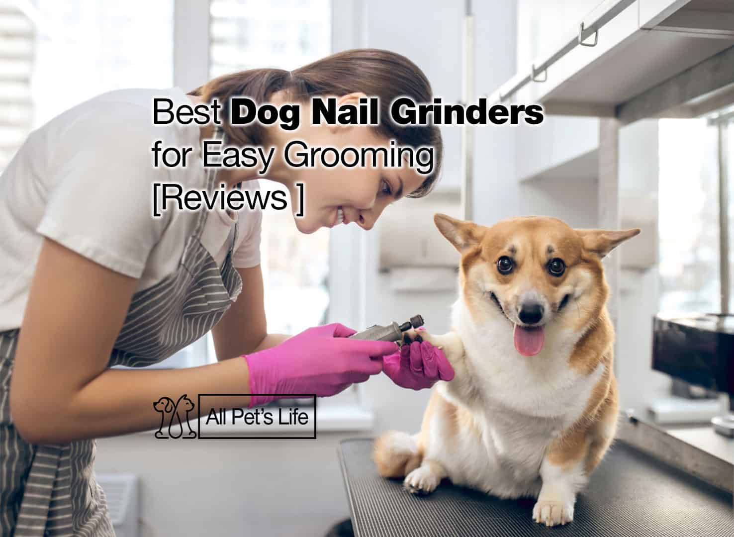 10 Dog Nail Grinder for Easy Grooming [2023] - All Pet's Life