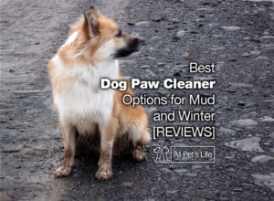 Read more about the article 9 Dog Paw Cleaner Options for Winter, Mud [2023]