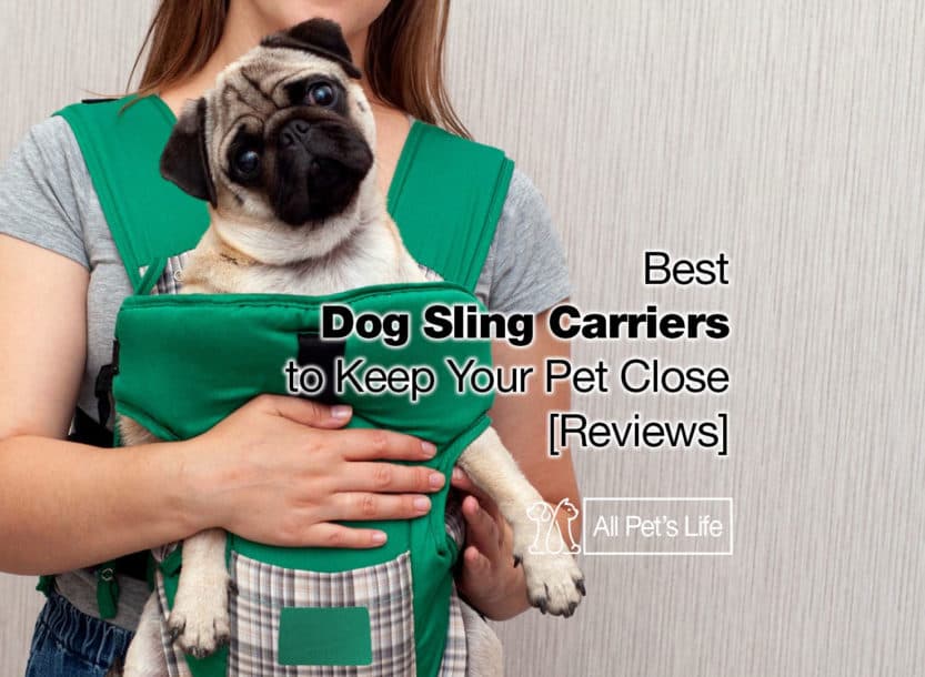 dog sling carrier