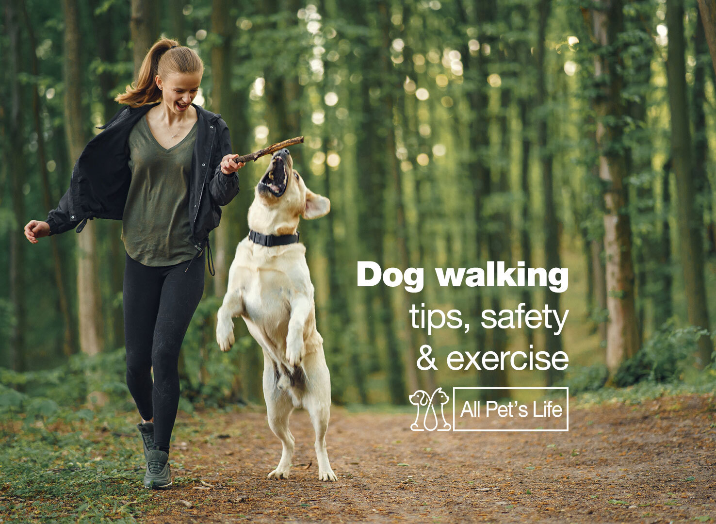 16 Dog Walking Tips, Safety & Exercise [2023] - All Pet's Life