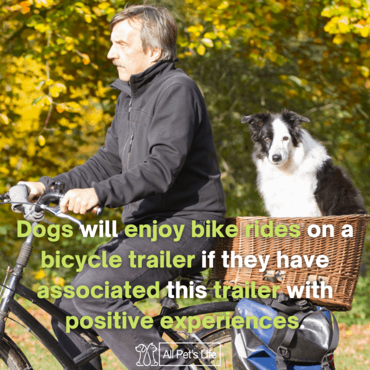 dog riding a bike trailer with his owner
