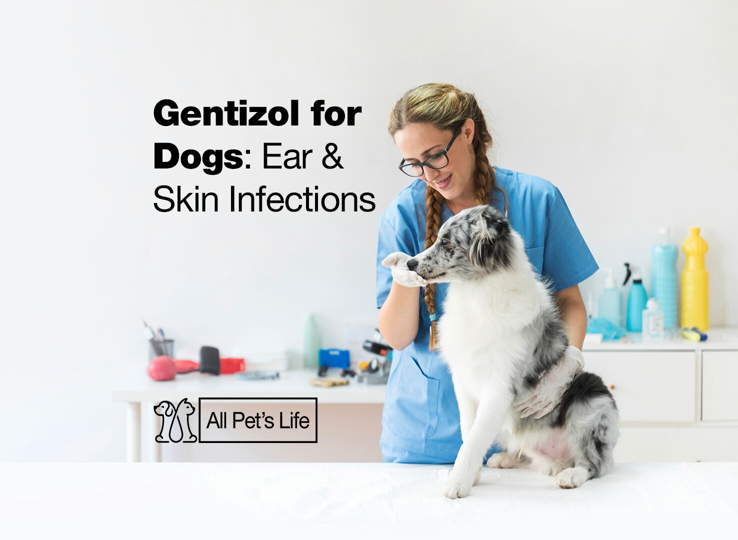 Gentizol for dogs ear & skin infections [2023] All Pet's Life