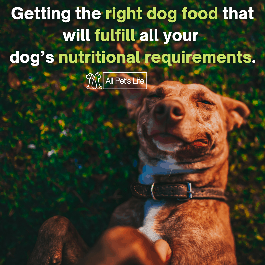 12 Top Nature’s Logic Dog Food Reviews [2021] All Pet's Life
