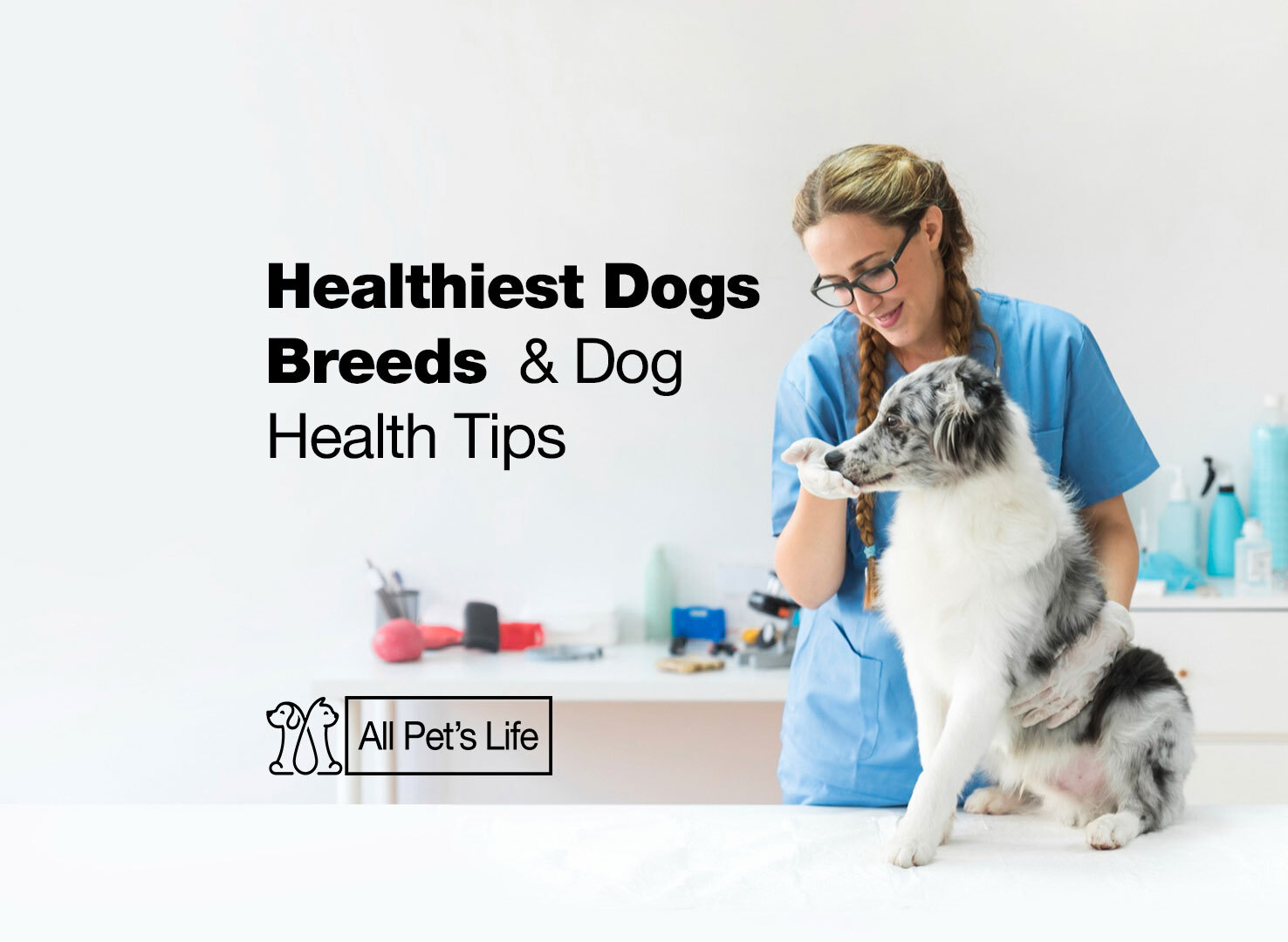 10 Healthiest Dogs Breeds & Dog Health Tips - All Pet's Life