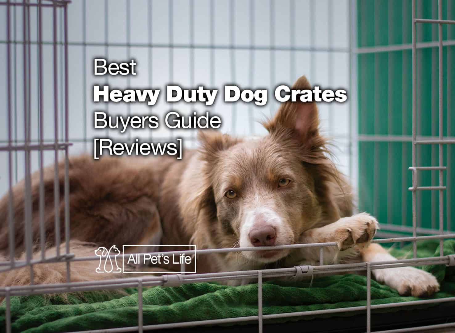 Image showcasing 12 Heavy duty dog crate [2023] buyer's guide - All Pet's Life