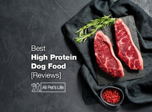 Read more about the article 10 Best High Protein Dog Food Options [2023]