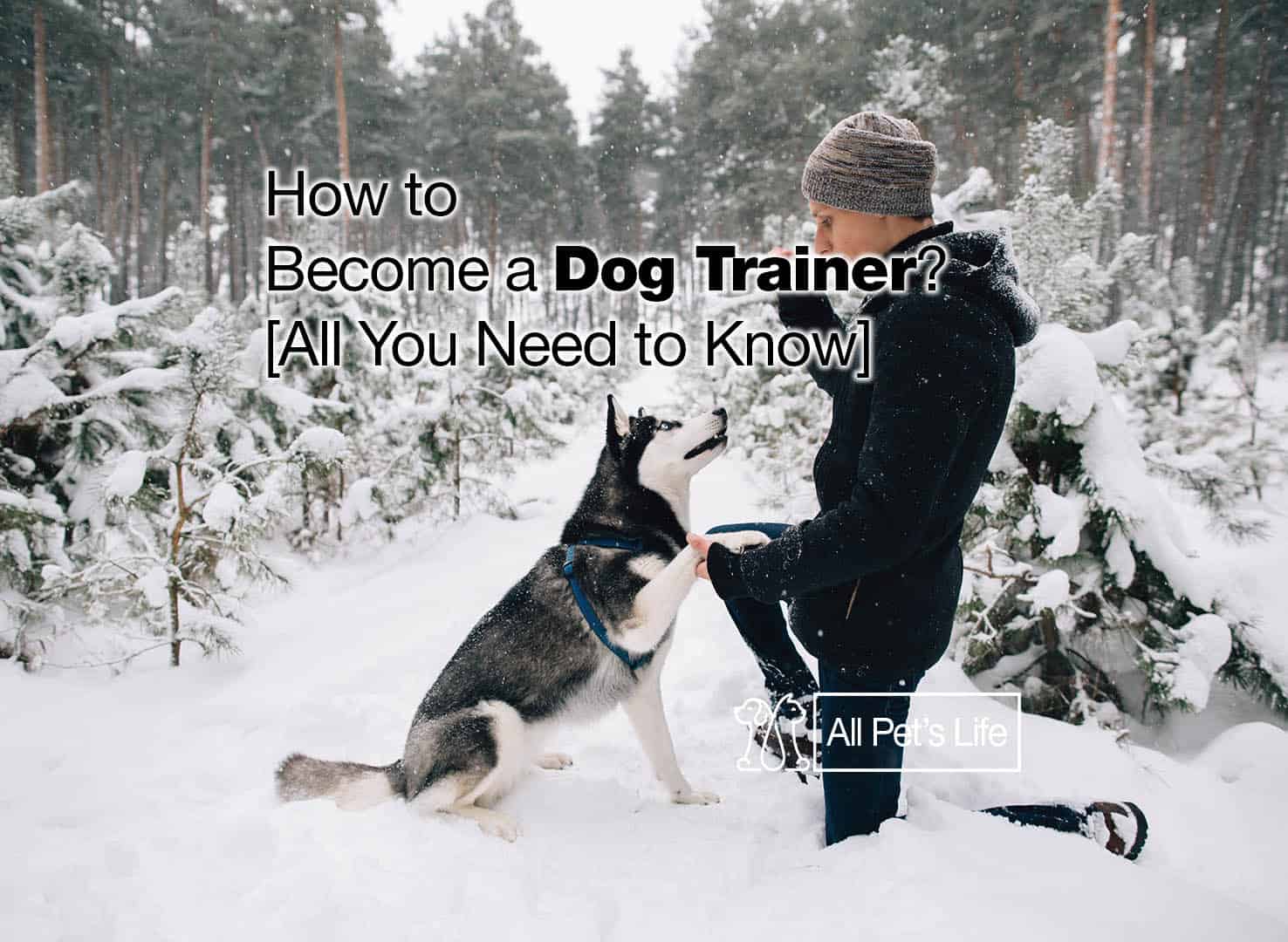 how-to-become-a-dog-trainer-what-you-need-2023-all-pet-s-life