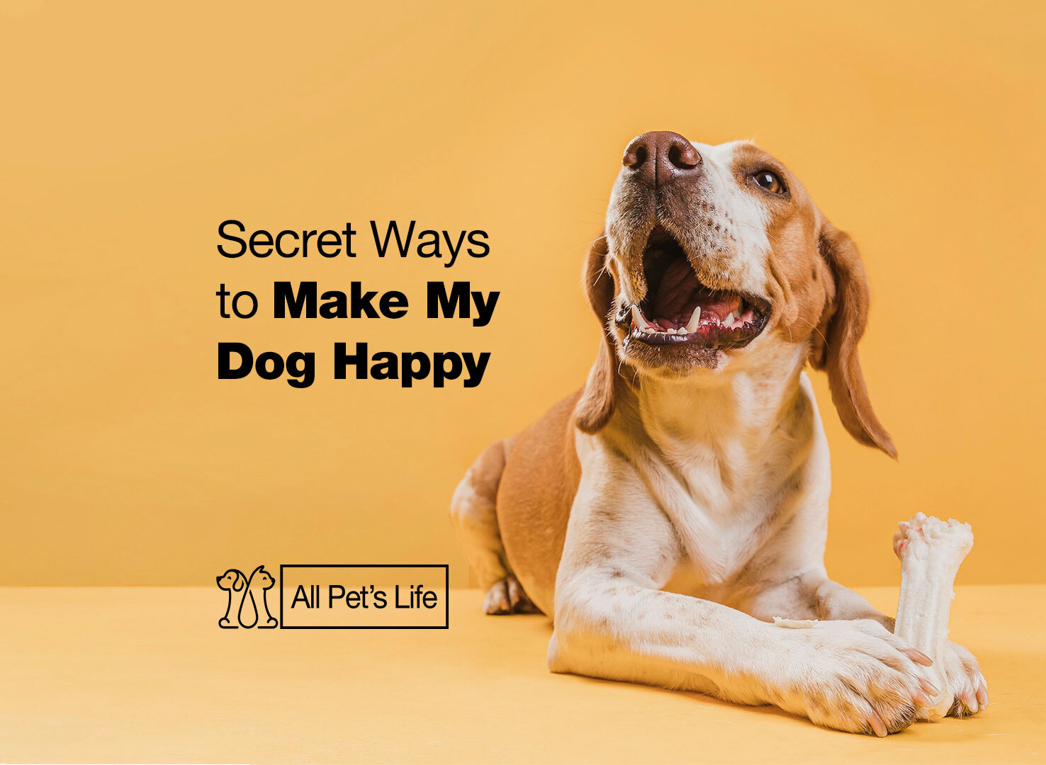 17-secrets-how-to-make-my-dog-happy-all-pet-s-life