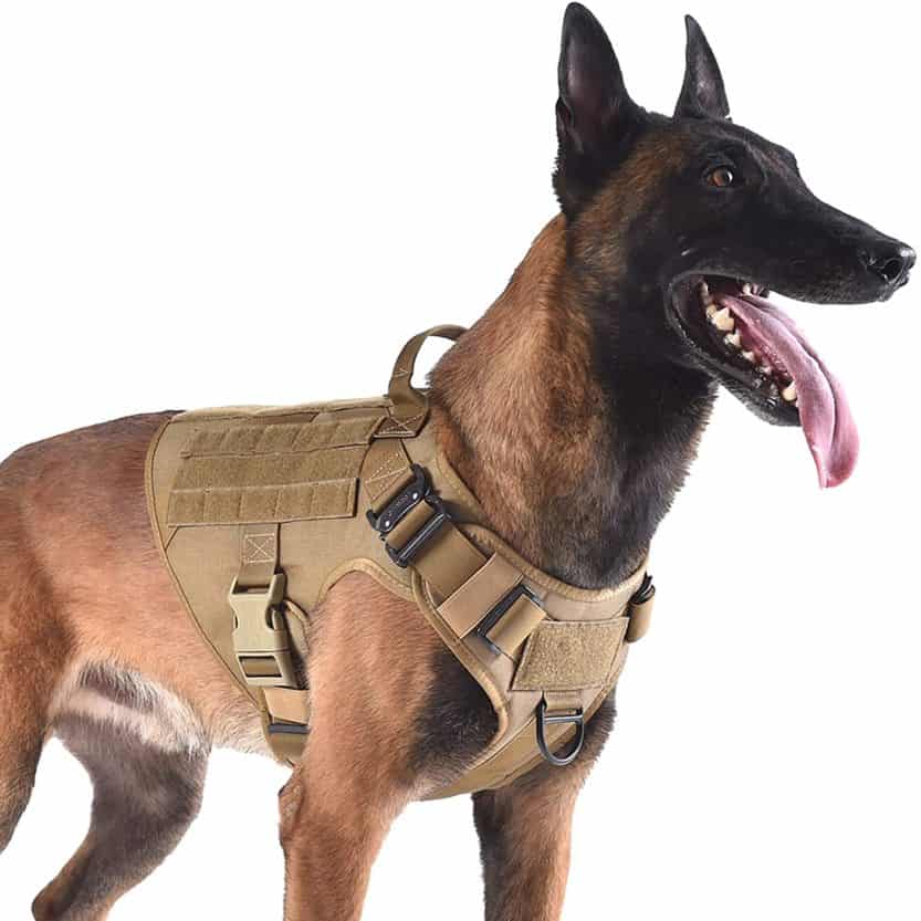 12 Best Tactical Dog Harness Reviews for your Dog [2021] - All Pet's Life