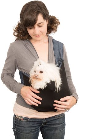 kangapooch the small dog carrier