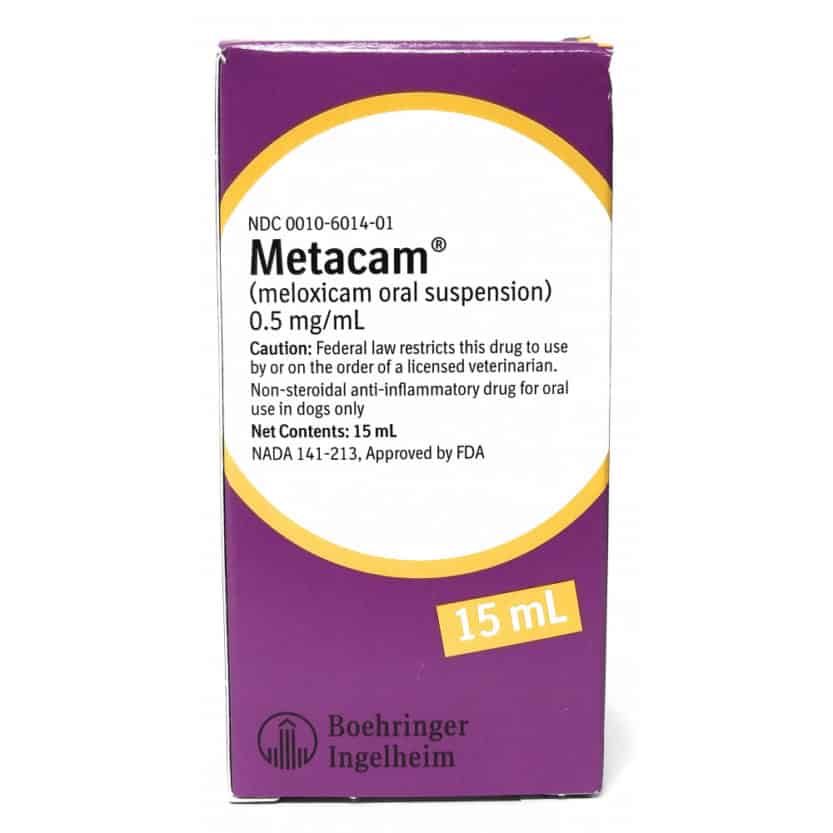 meloxicam-for-dogs-guide-how-it-works-dosage-side-effects-all