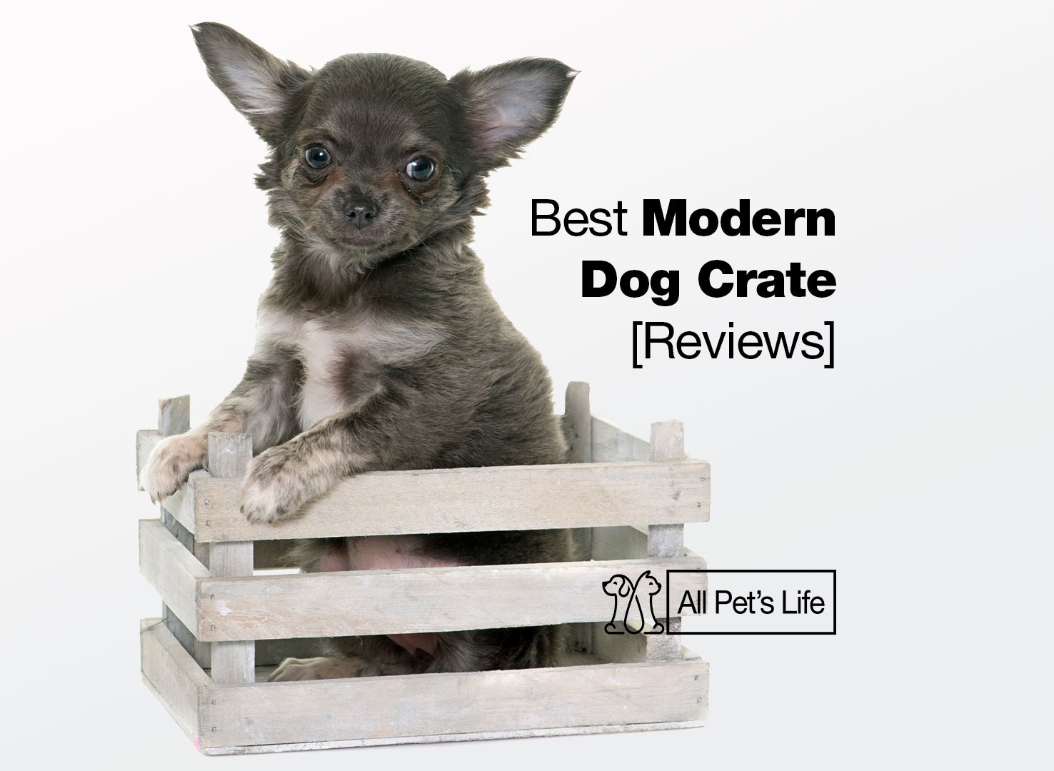 Snapshot of Modern Dog Crate Wall Mounted