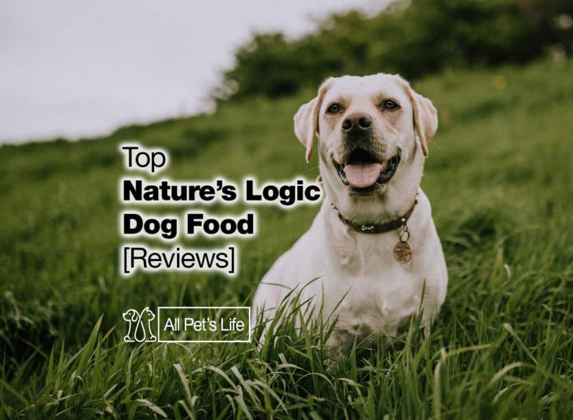 12 Top Nature’s Logic Dog Food Reviews [2021] - All Pet's Life