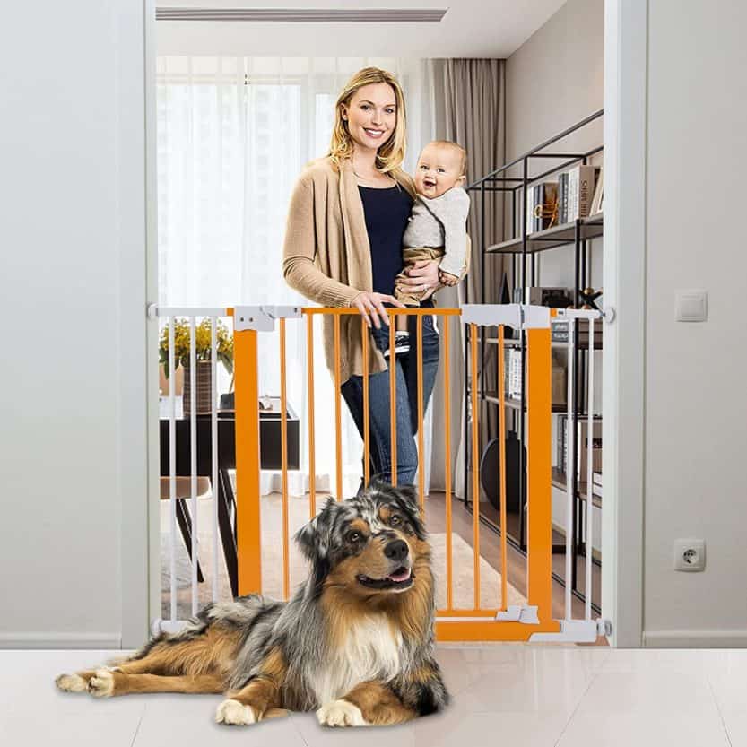 12 Best Retractable Dog Gate to Shut Off Areas 2021 [Reviews] All Pet