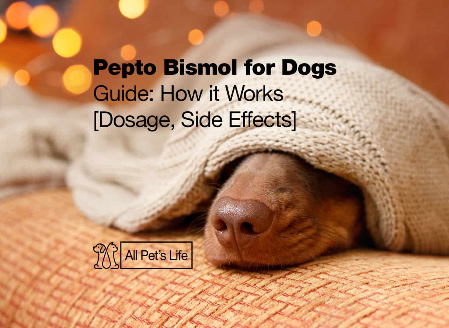 pepto-bismol-for-dogs-guide-2023-dosage-and-side-effects-all-pet-s-life