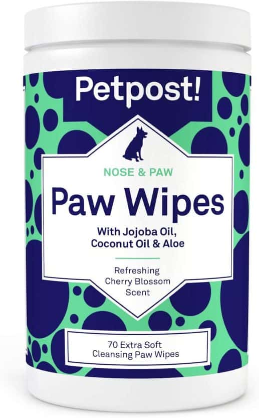 12 Best Dog Wipes For Any Situation [2021 Reviews And Guide] - All Pet 