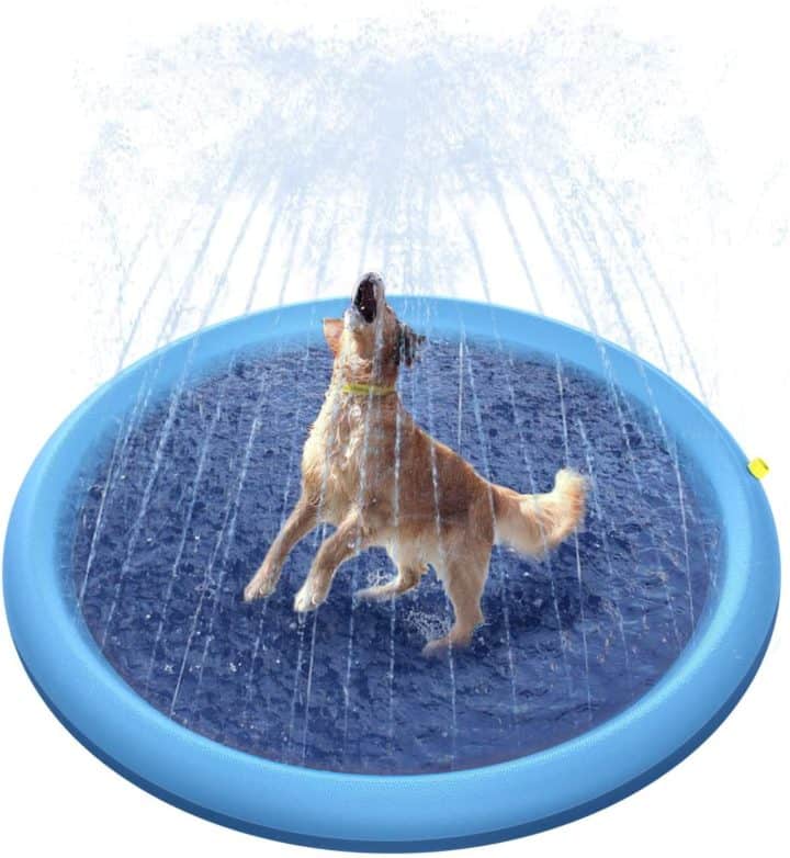 11 Best Dog Pool Options for Your Pup [2021 Reviews] All Pet