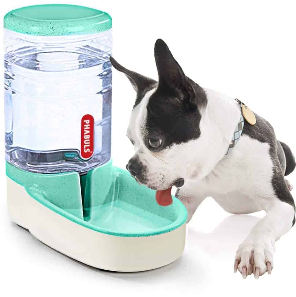 Best Dog Water Bottle 12 Options for 2021 Summer [Reviews] All Pet's