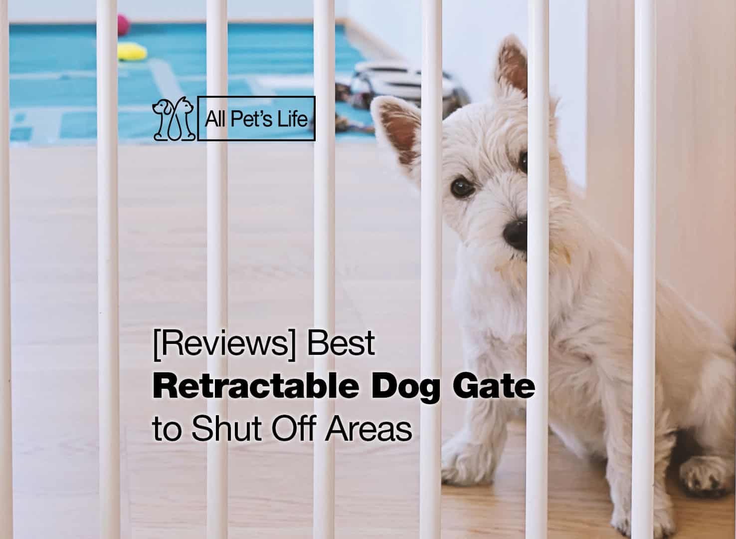 12 Best Retractable Dog Gate To Shut, Retractable Garage Door Dog Gate
