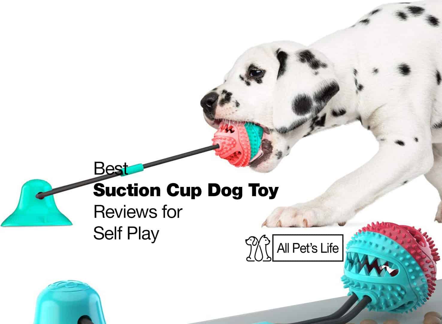 https://allpetslife.com/wp-content/uploads/suction-cup-dog-toy-with-ball.jpg