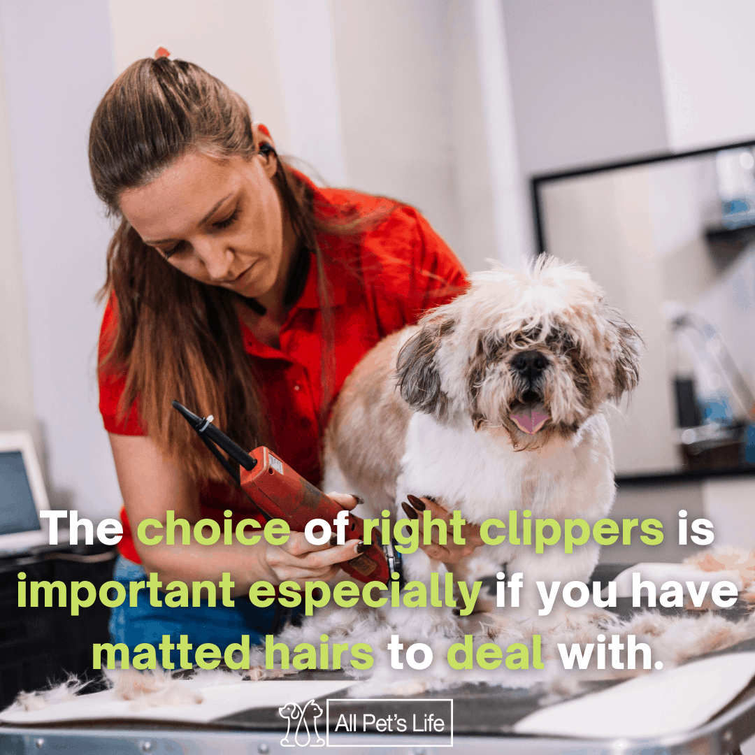 Picture of 5 Best Dog Clippers for Matted Hair 2021 [Reviews] - All Pet's Life