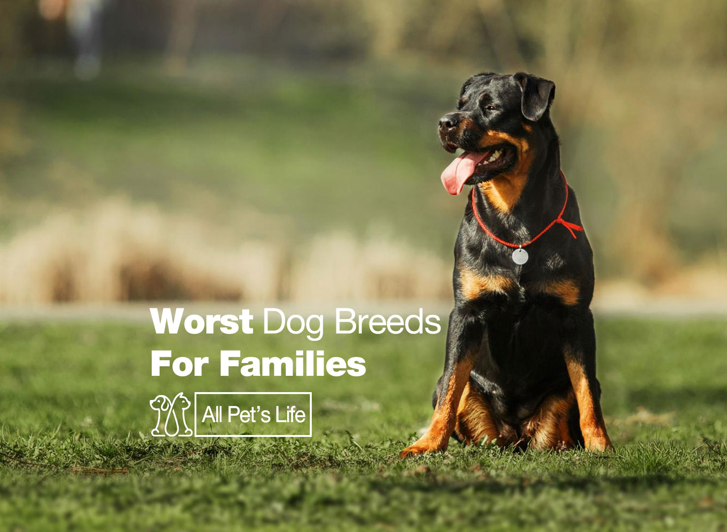 25-worst-dog-breeds-for-families-with-kids-2023-all-pet-s-life