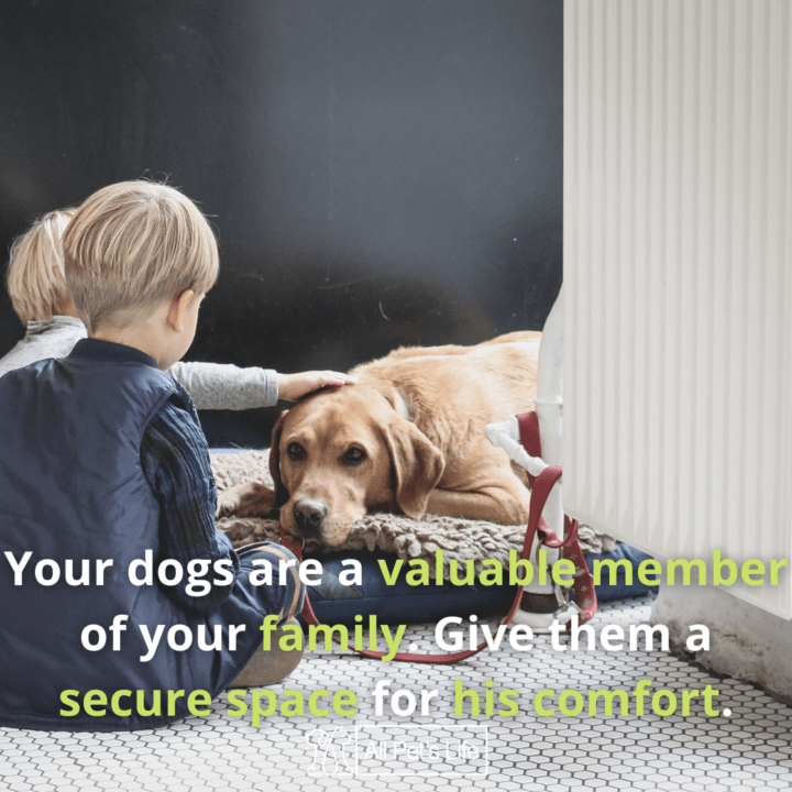 two kids touching the dog